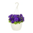 Expert Gardener 1.5G Purple Petunia Live Plant Hanging Basket Full Sun