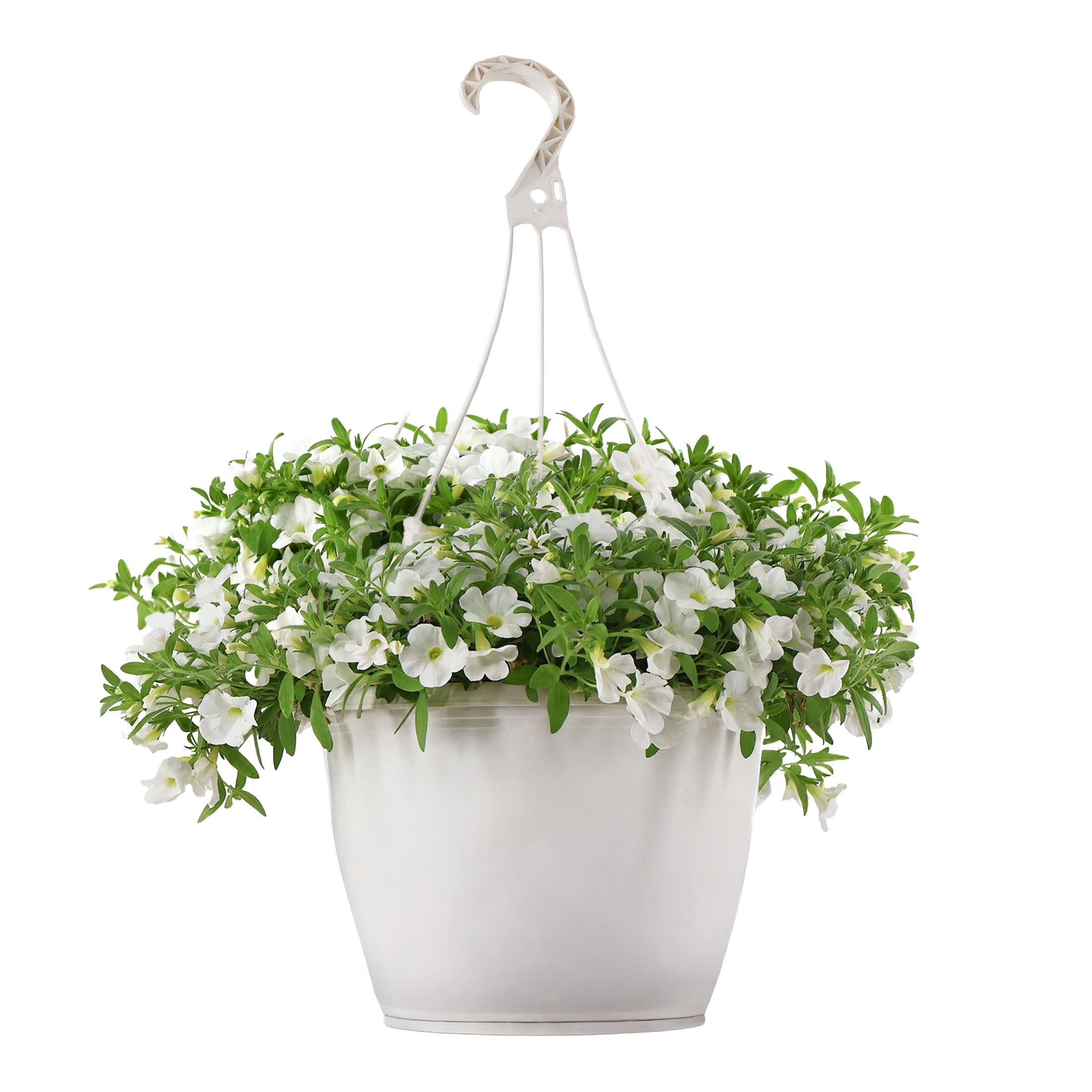 Expert Gardener 15