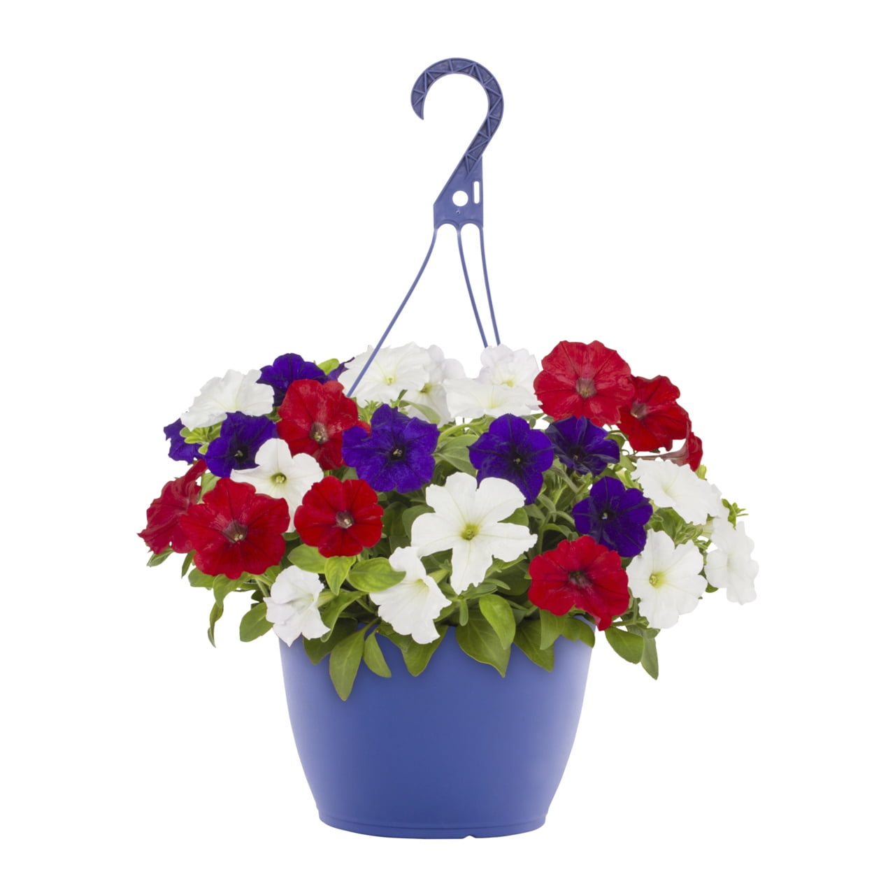 Expert Gardener 1.5gal Multicolor Petunia Live Annual Plant Hanging Basket Sun