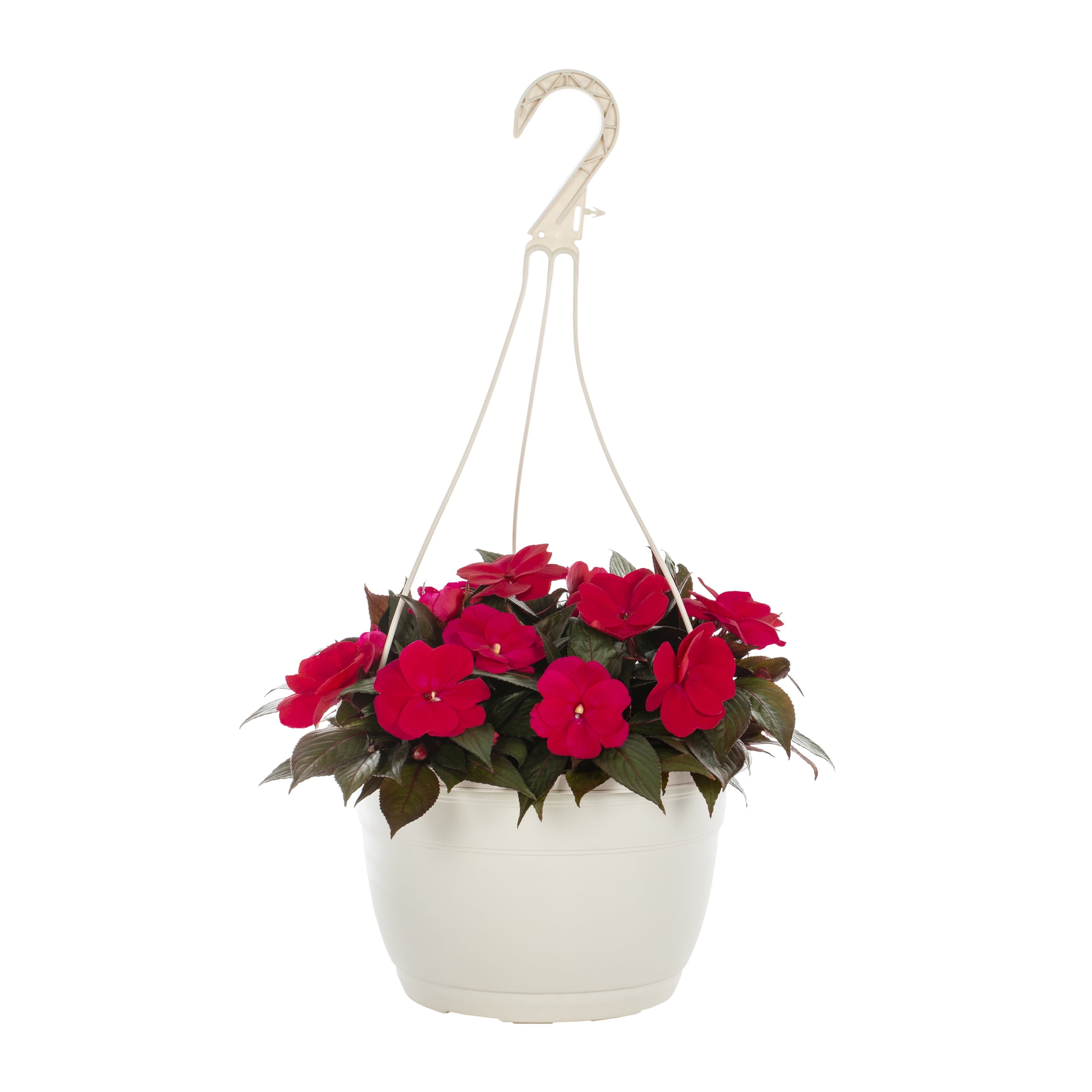 Expert Gardener Pink New Guinea Impatiens Live Annual Plant, 1.5G Hanging Basket