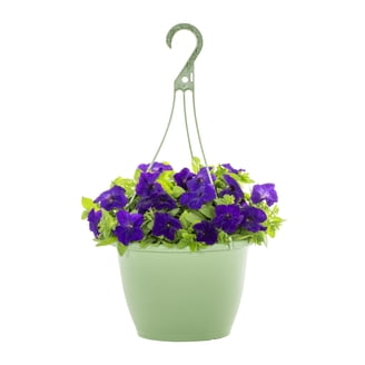 glass hanging planter Mini Hanging Glass Orb  Pigment