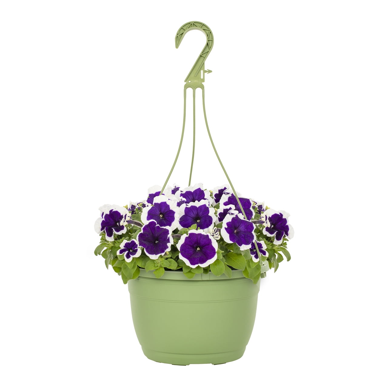 Expert Gardener 1.5gal Purple White Petunia Live Annual Plant Hanging Basket Sun