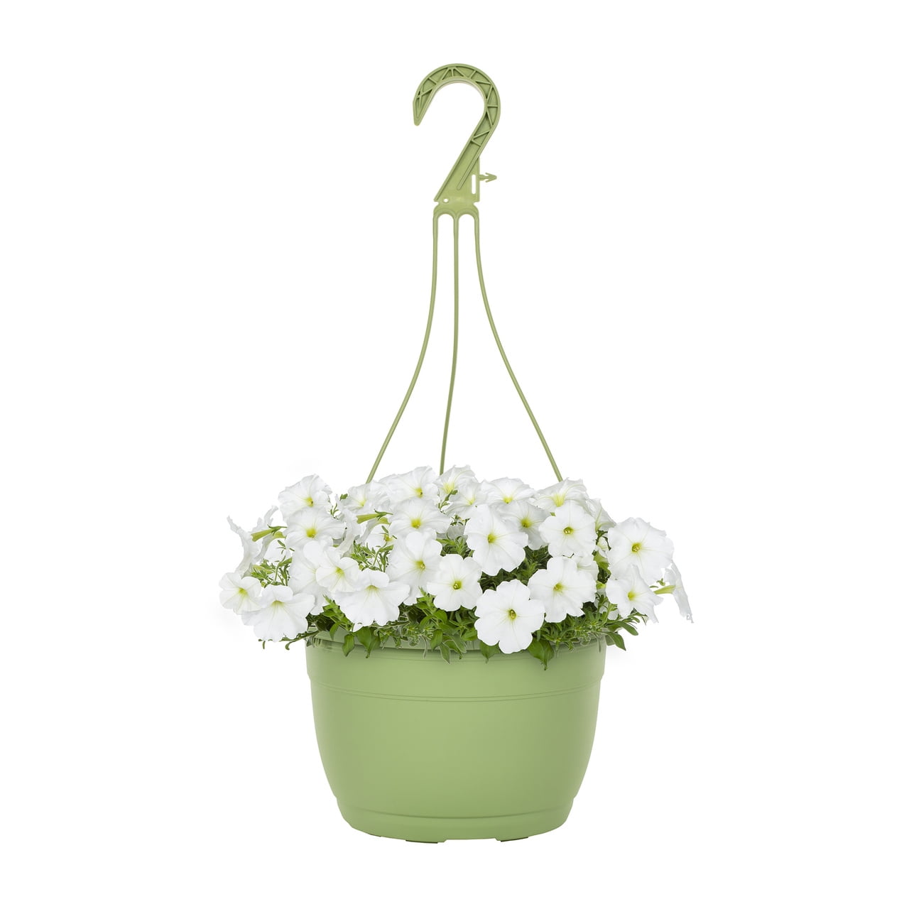 Expert Gardener 1.5gal White Petunia Live Annual Plant Hanging Basket Sun