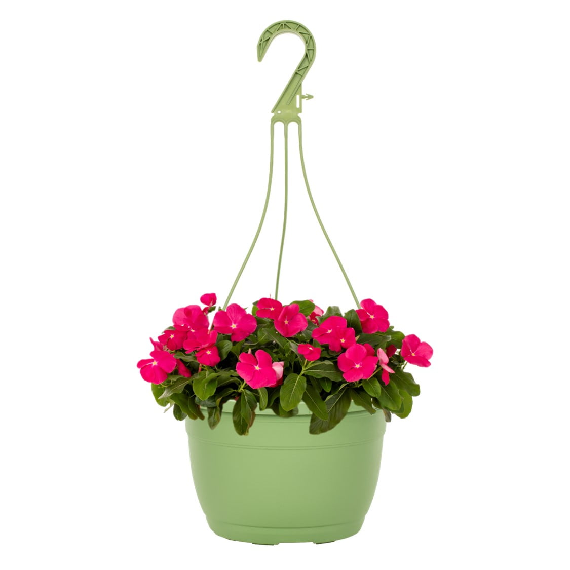 Expert Gardener 1.5gal Pink Vinca Live Annual Plant Hanging Basket Sun