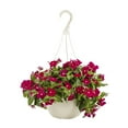 thumbnail image 1 of Expert Gardener 1.5gal Red Vinca Live Annual Plant Hanging Basket Sun, 1 of 5