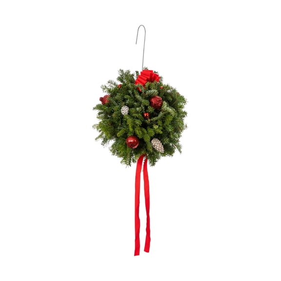 Expert Gardener 12" Fresh Cut Holiday Greens Kissing Ball (1-Pack), Holiday Decoration