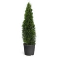 thumbnail image 1 of Expert Gardener 2.25G Arborvitae Emerald Green Live Plants Full Sun Green, 1 of 6