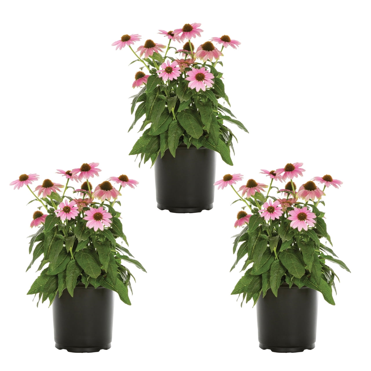 hanging planter stand Yard Butler Yard Tree Hanging Garden main image 1