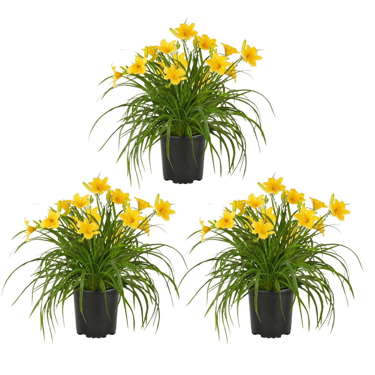 plant table indoor Modern Solid Wood Plant Stand + Pot main image 1