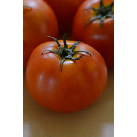 Expert Gardener 2.5g Tomato W Cage