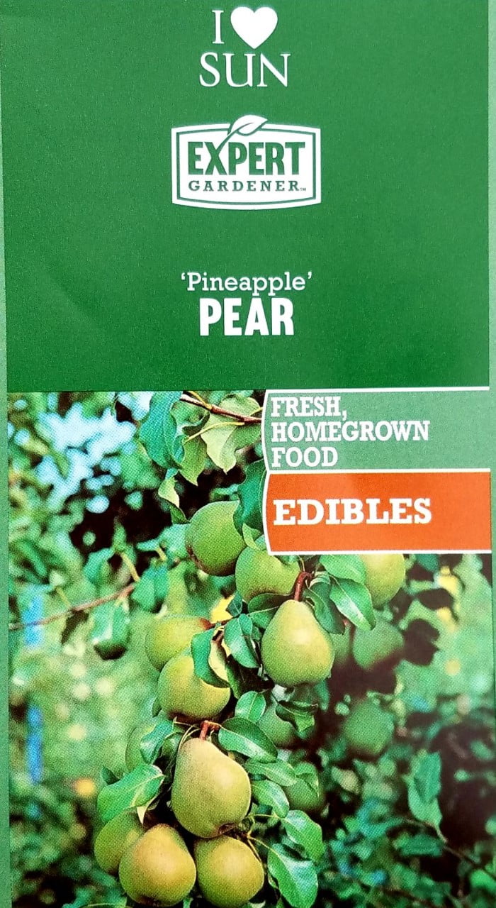 Expert Gardener 3.25G Pineapple Pear Fruit Tree