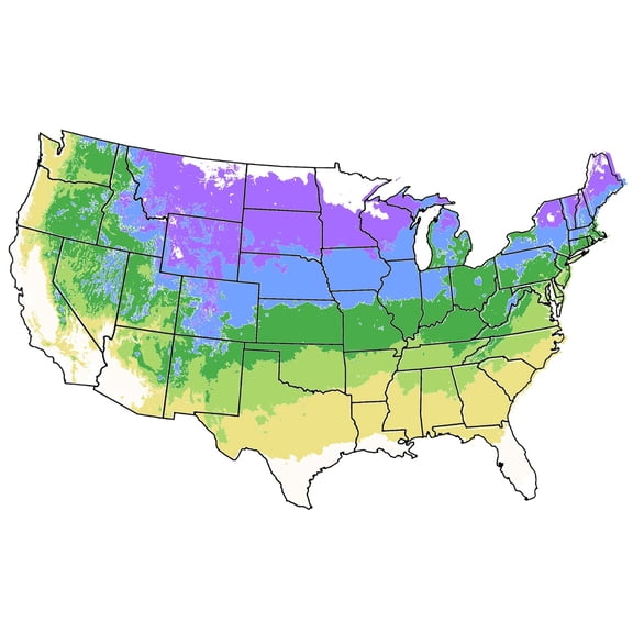 Expert Gardener 3-4 ft. Ruston Peach Live Tree in 7-Gallon Grower Pot