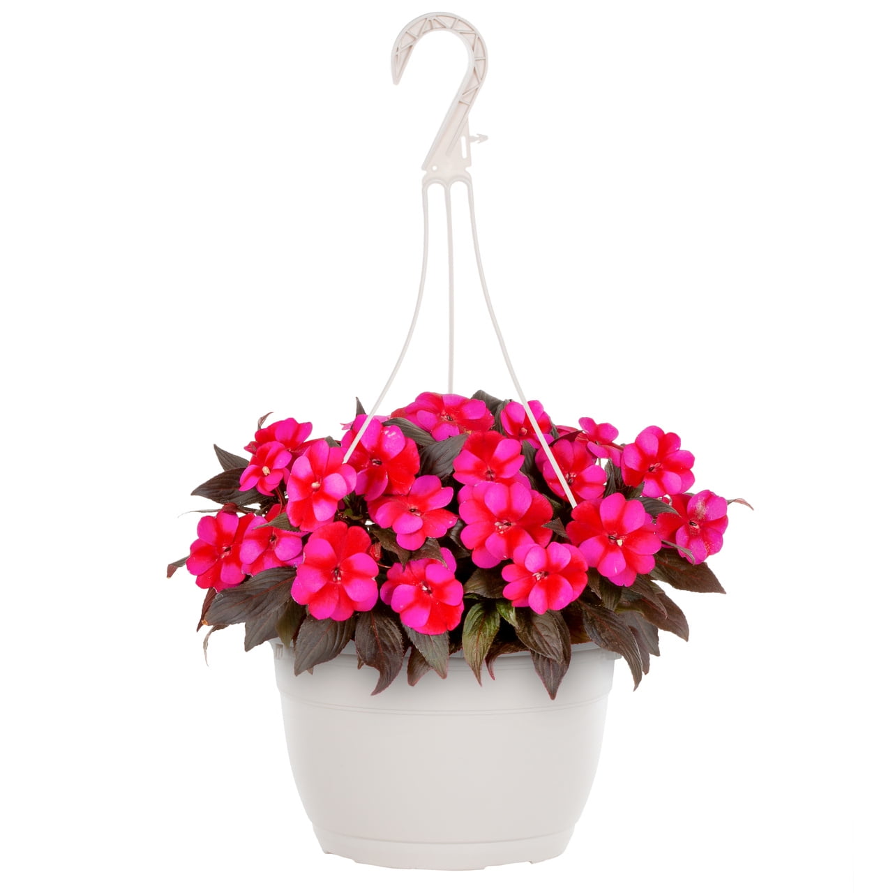 Expert Gardener 6" Pink Impatiens Live Plant Hanging Basket