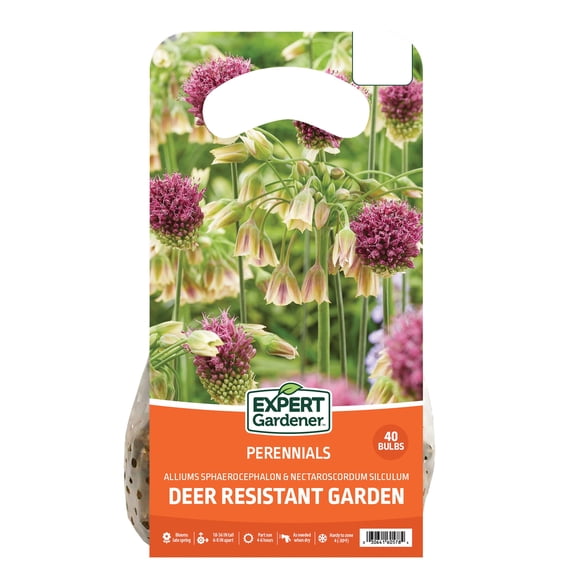 Expert Gardener Allium Critter Resistant Garden Plant Bulbs (40 Dormant Bulbs)