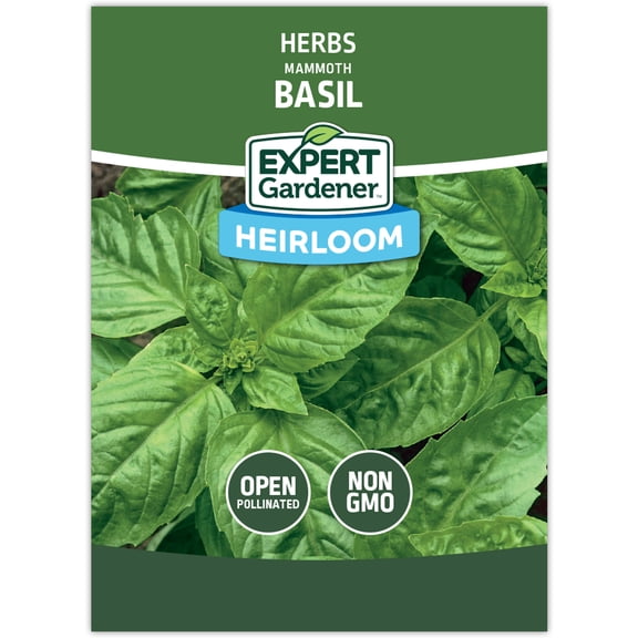 Expert Gardener Basil Mammoth Herb Herb
