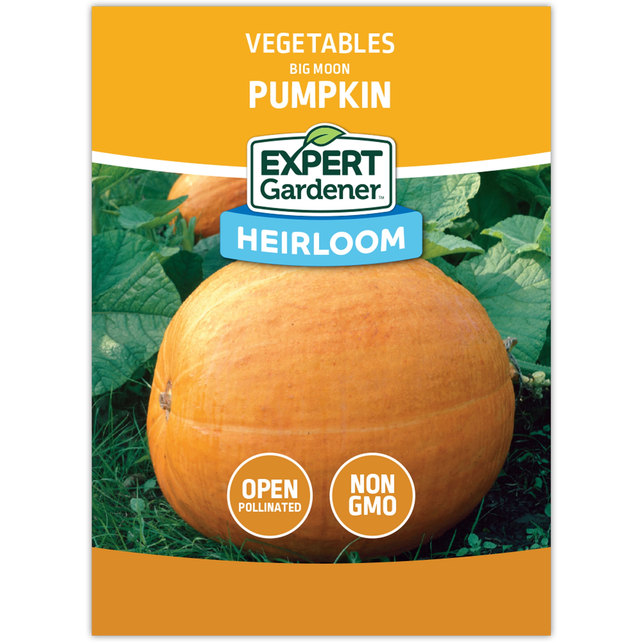 Expert Gardener Big Moon Pumpkin Plant Seeds