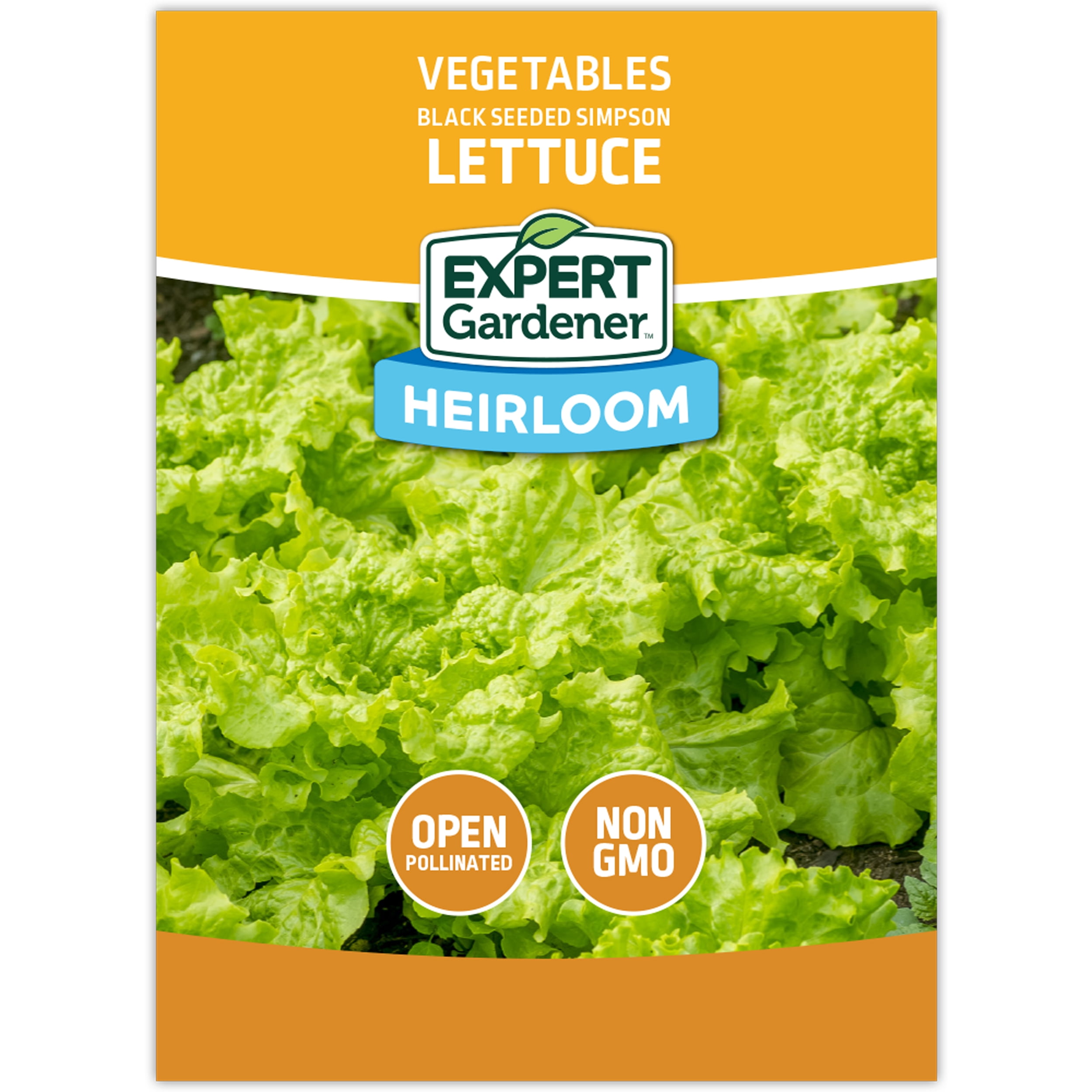 Expert Gardener Black-seeded Simpson Lettuce Vegetable