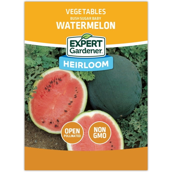 Expert Gardener Bush Sugar Baby Watermelon Vegetable