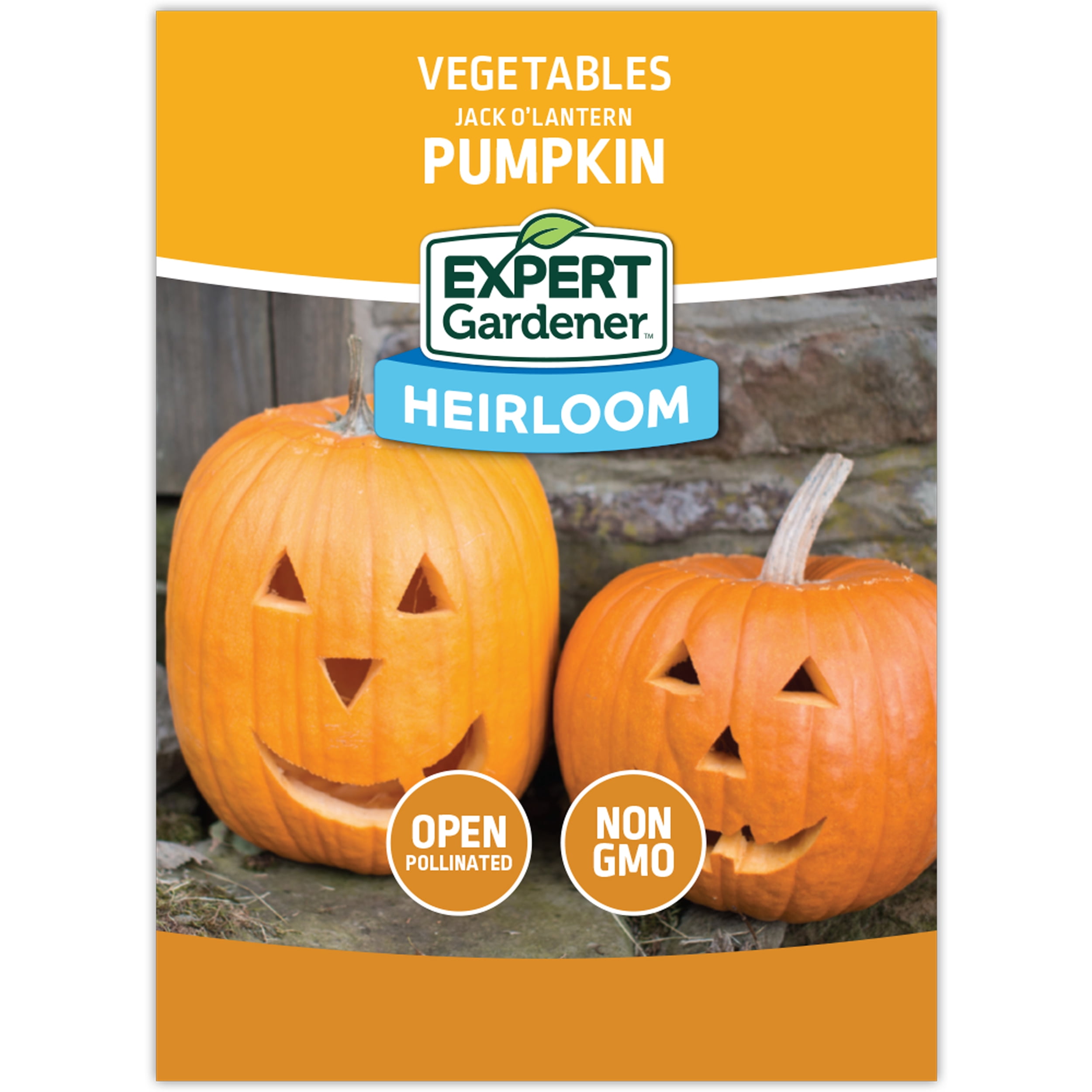 Expert Gardener Jack O'Lantern Pumpkin Vegetable