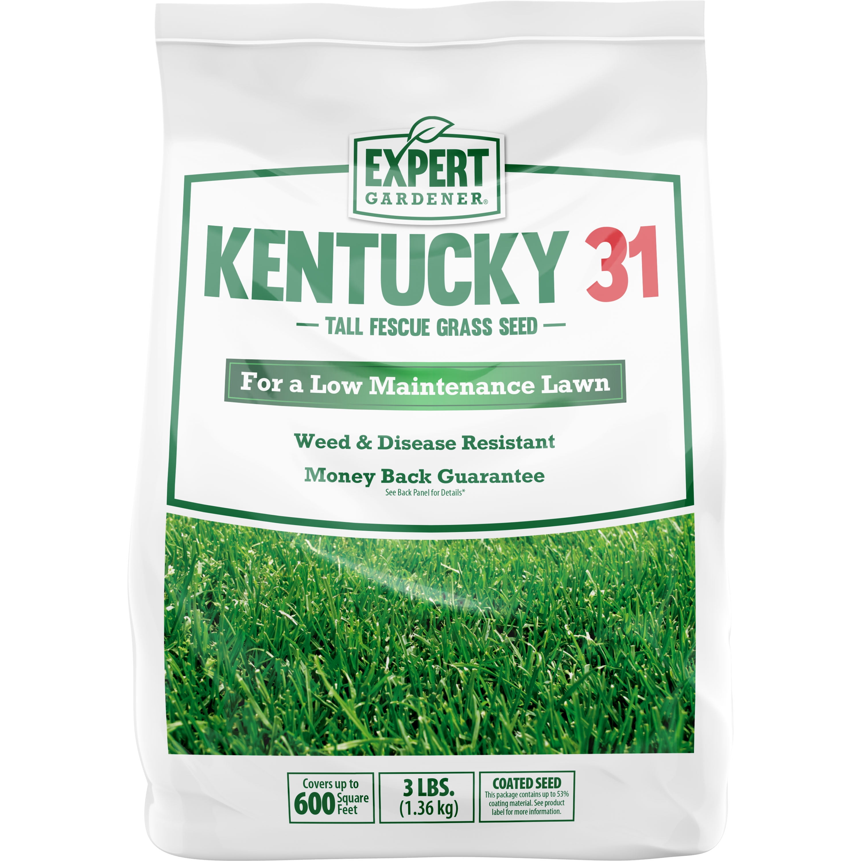 Expert Gardener Kentucky 31 Tall Fescue, KY31 Grass Seed, 3 lb