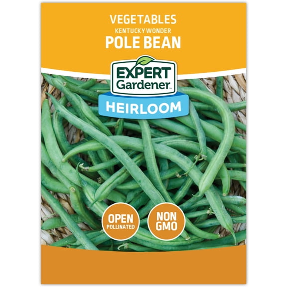 Expert Gardener Kentucky Wonder Pole Brown-seeded Bean Garden Vegetable
