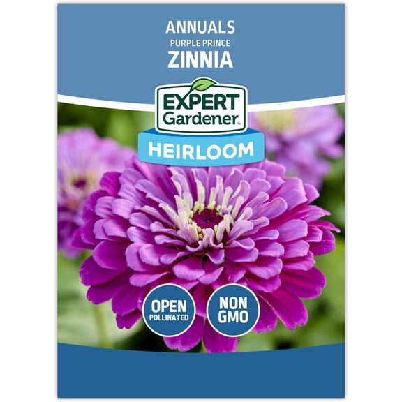 Expert Gardener Purple Prince Zinnia Flower