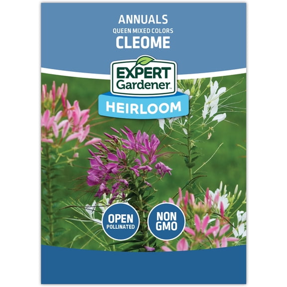 Expert Gardener Queen Mixed Colors Cleome Flower Seed