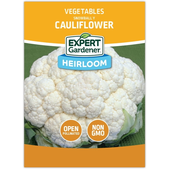 Expert Gardener Snowball Y Heir - Cauliflower Cauliflower Vegetable