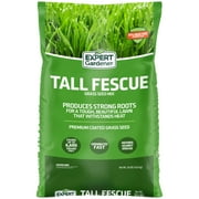 Expert Gardener Tall Fescue Grass Seed Mix, for Sun to Partial Shade, 20 lb.
