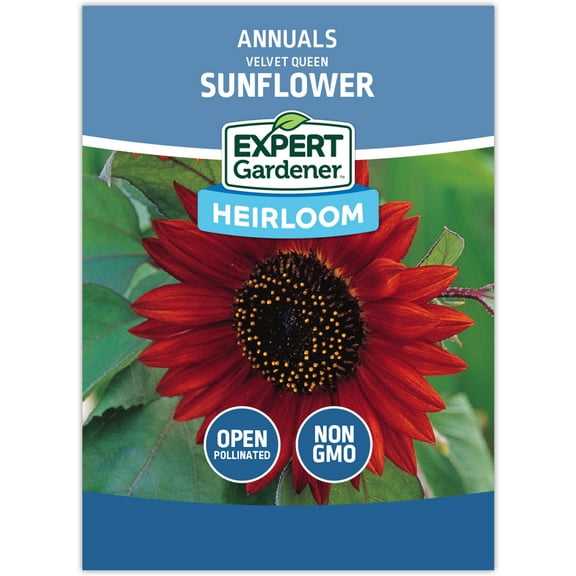 Expert Gardener Velvet Queen Sunflower Flower