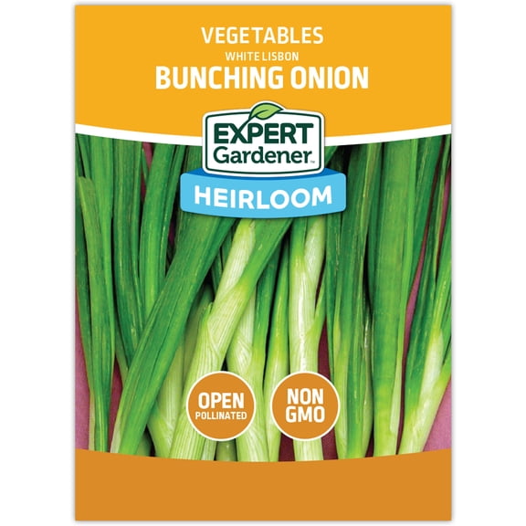 Expert Gardener White Lisbon Bunching Onion Vegetable