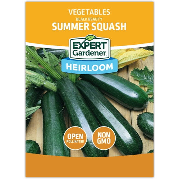 Expert Gardener Zucchini, Black Beauty Squash Vegetable