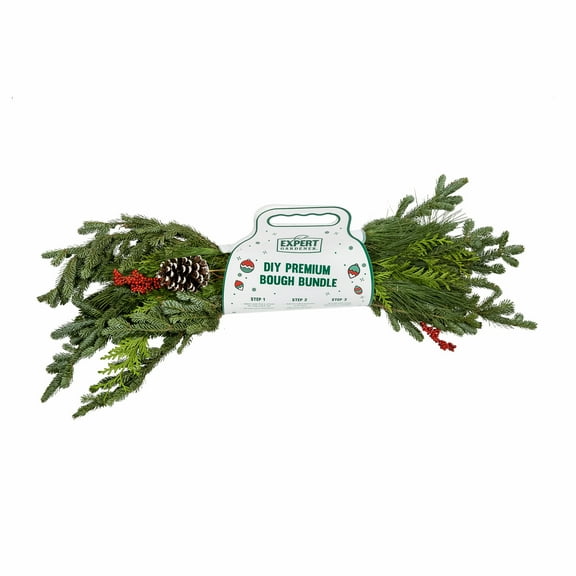 Expert Gardner DIY Pack Fresh Cut Mixed Holiday Greens Live Plants