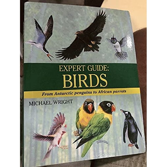 Pre-Owned Expert Guide: Birds (Paperback) 1897884893 9781897884898