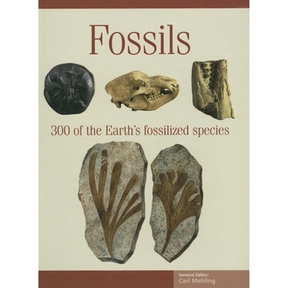 Pre-Owned Fossils: 300 of the Earth's Fossilized Species (Paperback) 1592237371 9781592237371