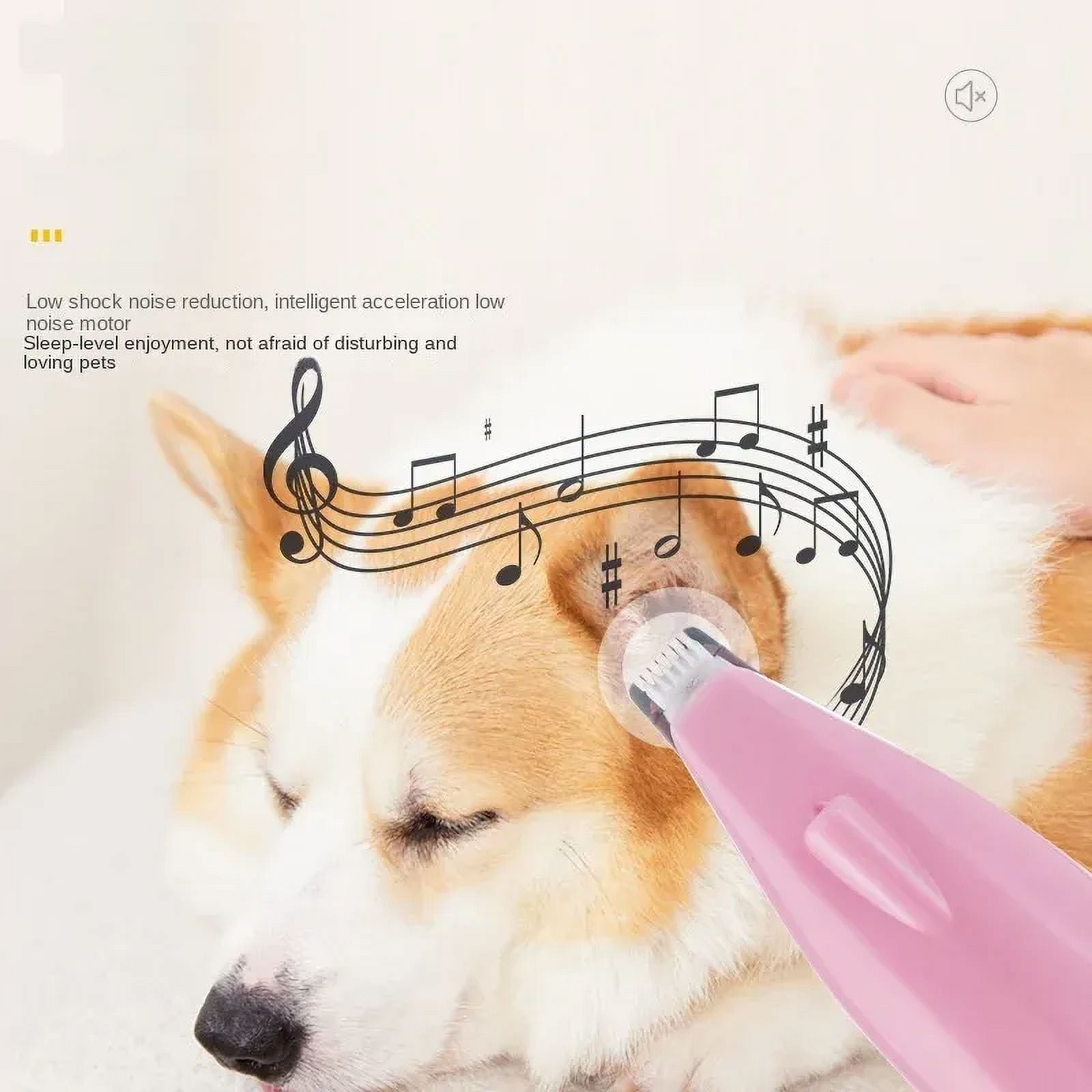 Essential Pet Grooming Tools to Buy Online for Daily Care