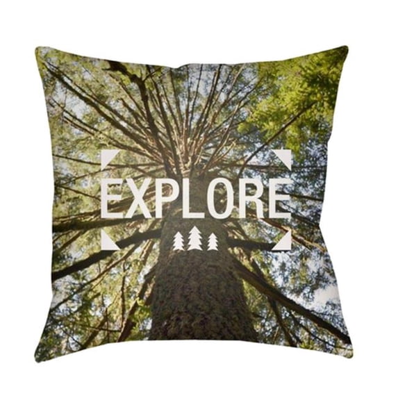 Surya EXP001-1818 Explore 18 x 18 x 4 in. Throw Pillow, Green - Medium