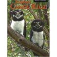 thumbnail image 1 of Pre-Owned Explore Costa Rica (Paperback) 1893643557 9781893643550, 1 of 1