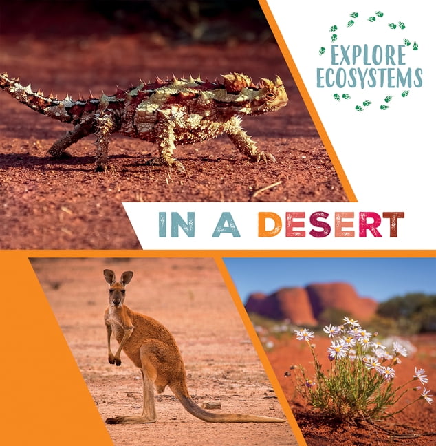 Explore Ecosystems In a Desert, (Hardcover)