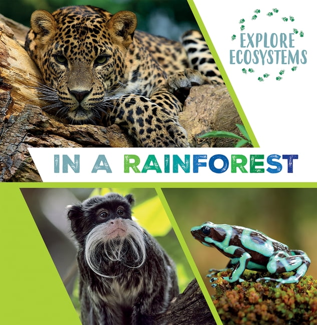 Explore Ecosystems In a Rainforest, (Paperback)