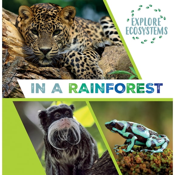 Explore Ecosystems In a Rainforest, (Paperback)