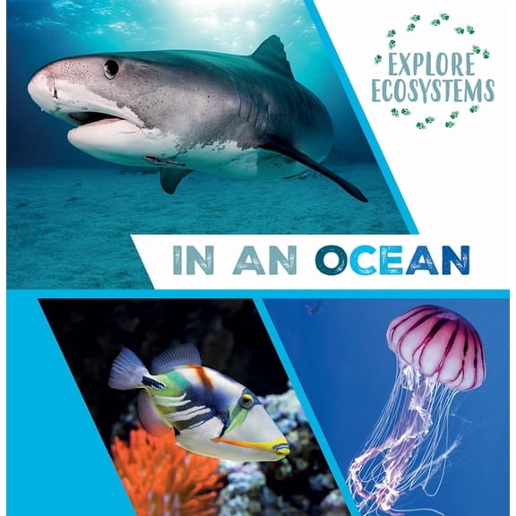 Explore Ecosystems In an Ocean, (Hardcover)