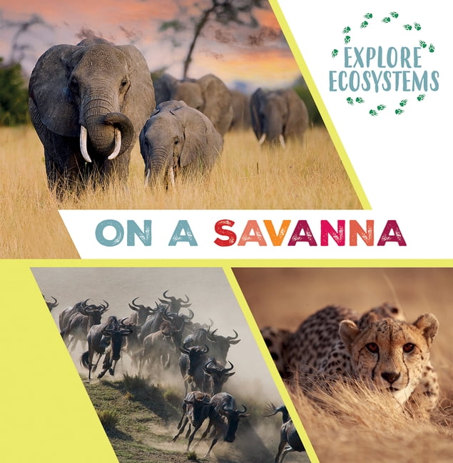 Explore Ecosystems On a Savanna, (Paperback)