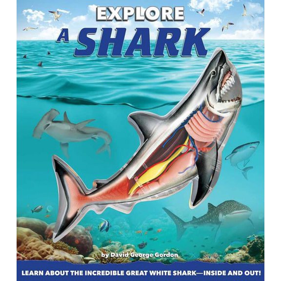 Pre-Owned Explore: Explore a Shark (Paperback)