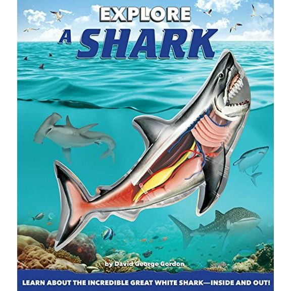 Pre-Owned Explore a Shark (Hardcover) 1626863946 9781626863941