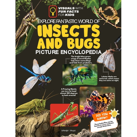 Explore Fantastic World of Insects and Bugs Picture Encyclopedia, (Paperback)