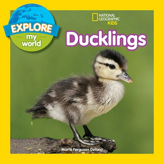 Explore My World: Explore My World: Ducklings (Hardcover)