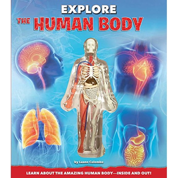 Pre-Owned Explore the Human Body