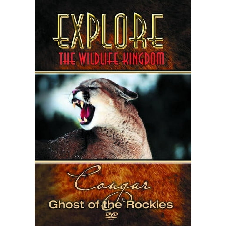 Amazon.com: Explore the Wildlife Kingdom: Cougar - Ghost of