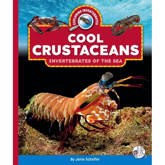 Exploring Invertebrates Cool Crustaceans: Invertebrates of the Sea, (Hardcover)